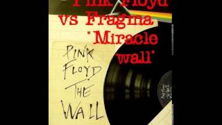 Pink Floyd Vs Fragma - Miracle wall 2008 Ben double M
