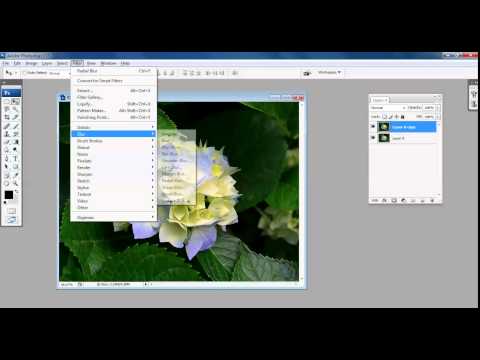 Bluring Image In Adobe Photoshop CS3 Tamil