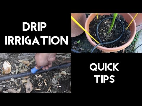 Drip Irrigation Questions Answered Q A For Drip Irrigation Systems