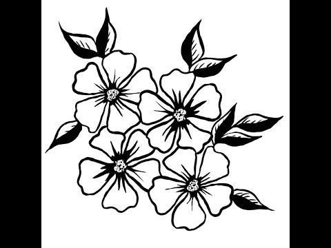 Magiczne rośliny w domu i ogrodzie