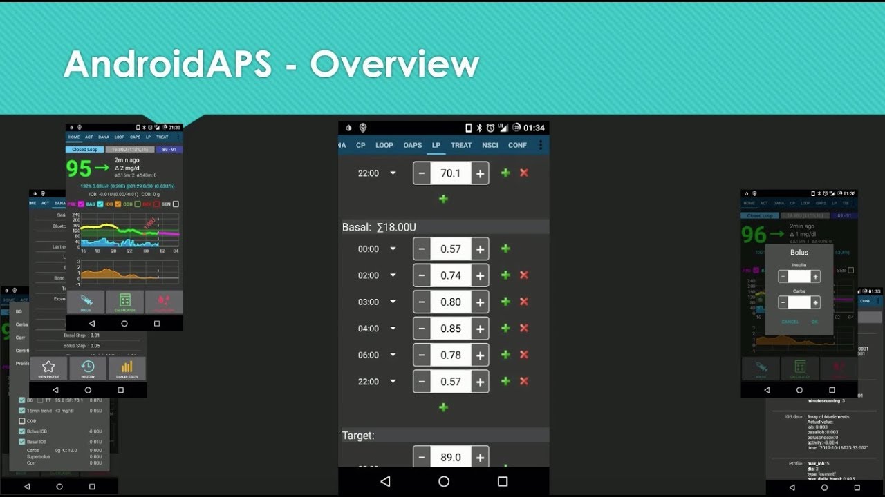 AndroidAPS presentation at 2017 D-Data Exchange