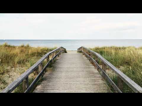 Trevor Kowalski - And We Walk After