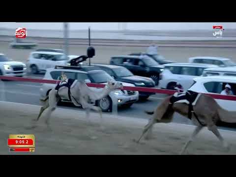 ش 4 سيف حول مفتوح  (مزون) سعيد جابر عبدالله الحربي 12:09:23  ، ختامي الوثبة 2026/05/20