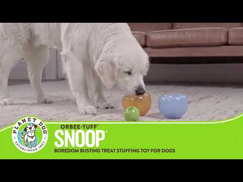 Orbee-Tuff Snoop Interactive Treat Dispensing Dog Toy, Green