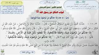 صورة شرح الجامع الكبير للترمذي : باب ماجاء إذا جاءكم من ترضون دينه فزوجوه - الحديث 1103 || ماهر الفحل