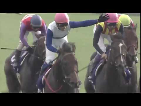 2012 Japan Sprinters Stakes G1 - Lord Kanaloa (龍王) - Y.Iwata