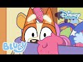 Bluey | Zoeken! ? | Disney Channel NL