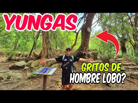 ME SORPRENDIO este BOSQUE ARGENTINO😲 San Lorenzo - Salta  Alex Gryn