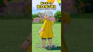かわいい新エモート「後ろを振り返る」 #FF14