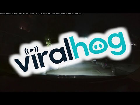 Large Meteor Spotted on Dashcam || ViralHog