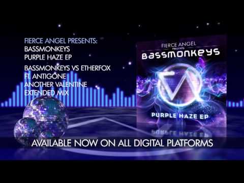 Bassmonkeys - Another Valentine - Extended Mix - Fierce Angel