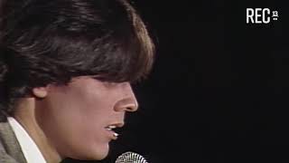 Hernaldo Zúñiga - Insoportablemente Bella - 1980