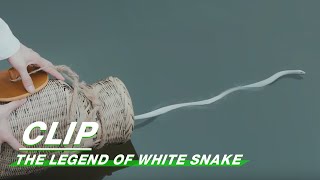 【ENG SUB】预告E02：新白娘子传奇 The Legend of White Snake | iQIYI