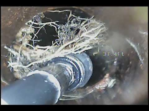 Green's Plumbing Co. Sewer Hydro-Jet root removal