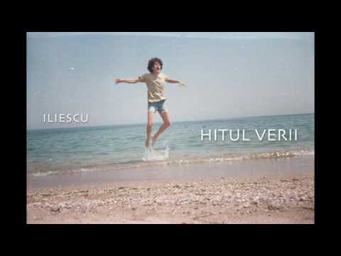 Domnul Victor aka ILIESCU - Hitul Verii (cover Brazz ViliDJ)