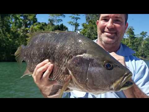 Black Bass & Spottail Bass Adventure - Baia Sportfishing PNG