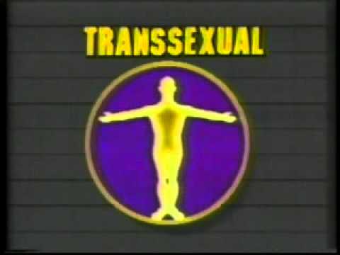 ABC Business Brief - February 1984