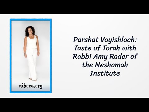 Taste of Torah: Parshat Vayishlach | Rabbi Amy Rader | Modern Jewish Teaching & Inspiration