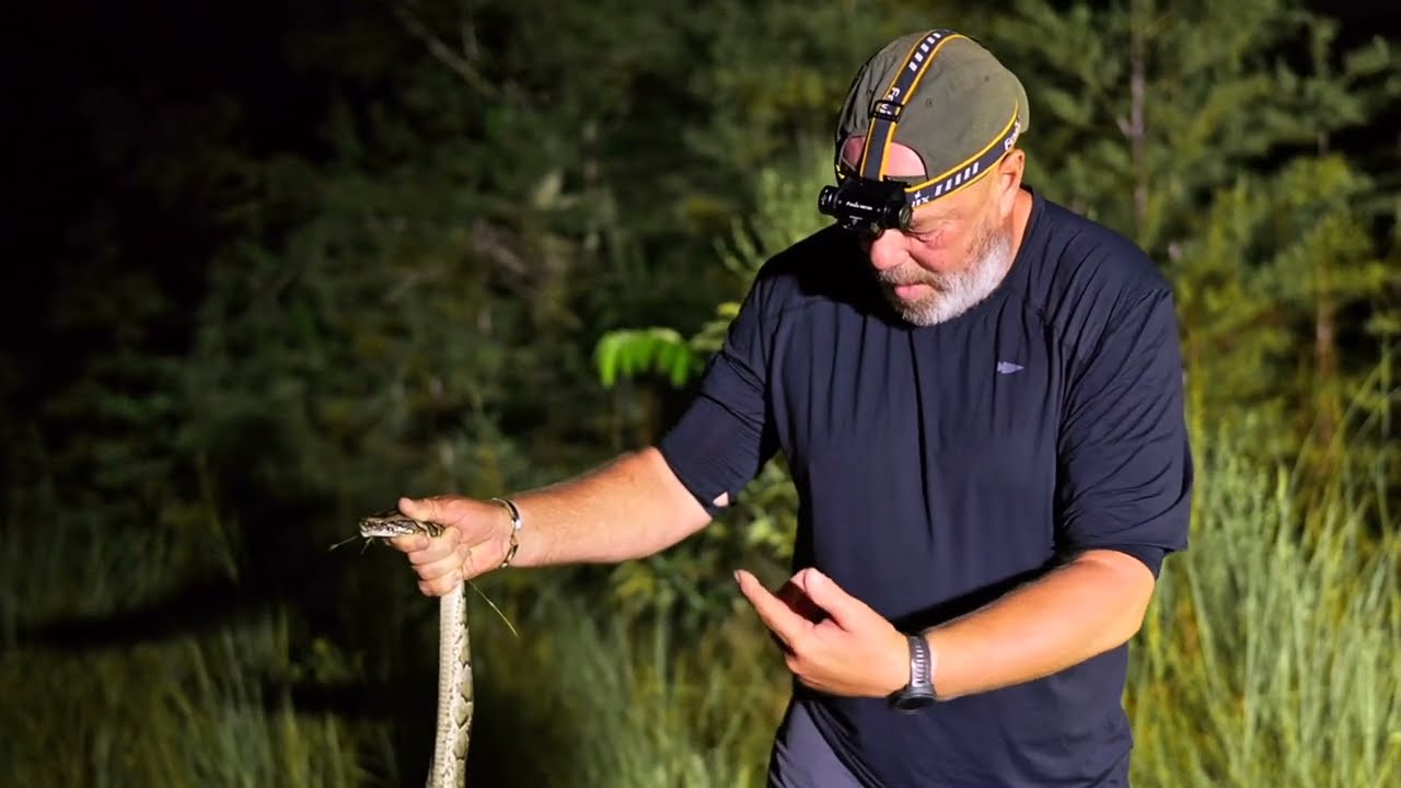 Everglades Camo: Humans Are Apex Predators