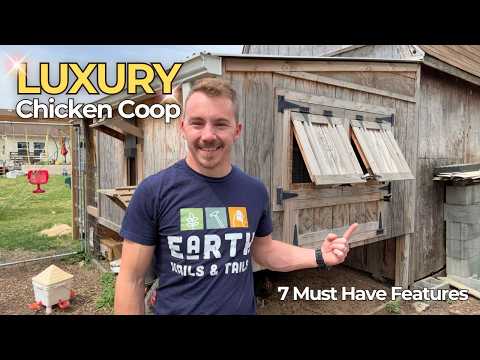 7 Features I LOVE in my DIY Luxury Chicken Coop