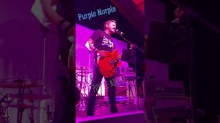 Fare Thee Well - Louden Swain - Basingstoke Comic Con 2023