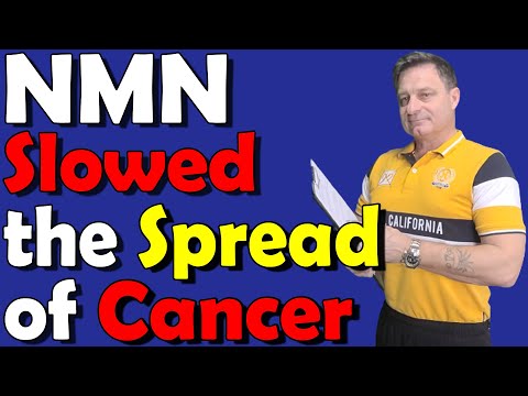 Latest Research: NMN Slowed Cancer Metastasis