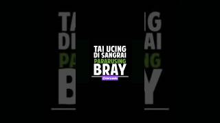 Download lagu pararusing Bray #status #story #storywa #sunda #shorts mp3