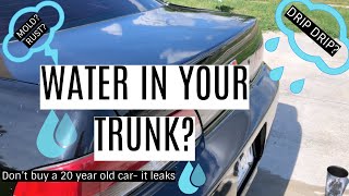How to Fix a Leaking Trunk