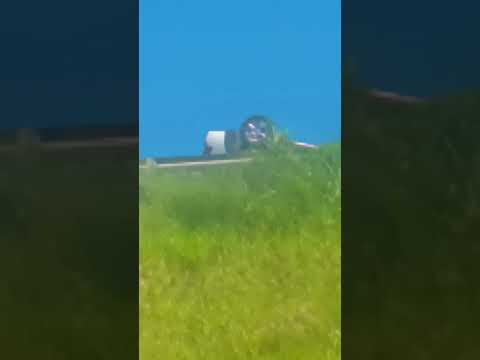 acidente 🚗BR101 Sangão Santa Catarina