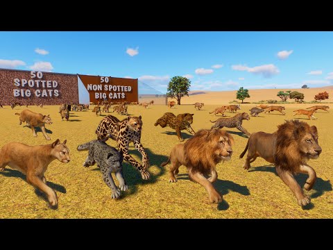 50 Spotted Big Cats VS 50 Non Spotted Big Cats Animal Race in Planet Zoo included Lion, Jaguar, Puma
