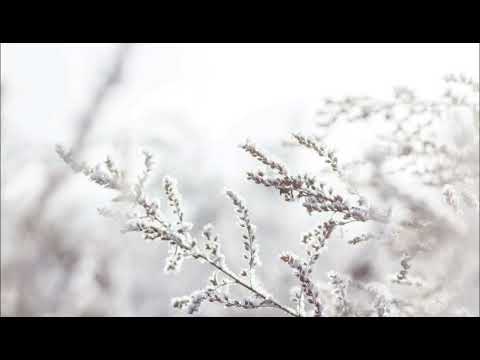 Grupul de tineri "Limanuri Bune" Daia Română - OSANA, OSANA