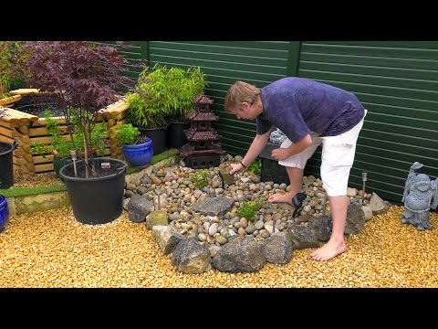 download lagu mp3 mp4 Growing Moss On Rocks, download lagu Growing Moss On Rocks gratis, unduh video klip Growing Moss On Rocks