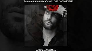 Paloma que pierde el vuelo LOS CHUNGUITOS