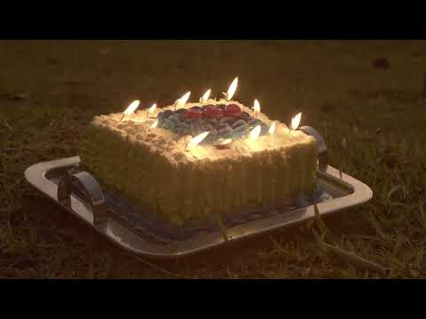 DINGO - Tropeço (Visualizer)