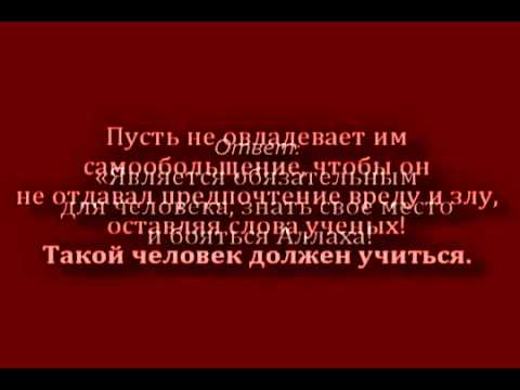 Sheykh AbdulMuhsin ibn Abbad - o teh, kto porochit uchenyh