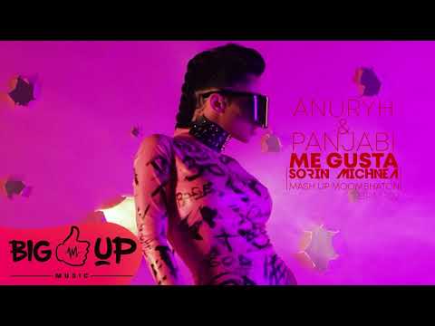 ANURYH X PANJABI - ME GUSTA  | SORIN MICHNEA MASH UP