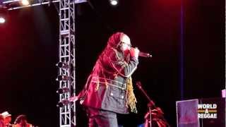 Queen Ifrica & Wayne J Live @ Rebel Salute 2013 - Jamaica