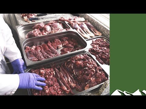 download lagu mp3 mp4 Flora Butcher Deer Processing, download lagu Flora Butcher Deer Processing gratis, unduh video klip Flora Butcher Deer Processing