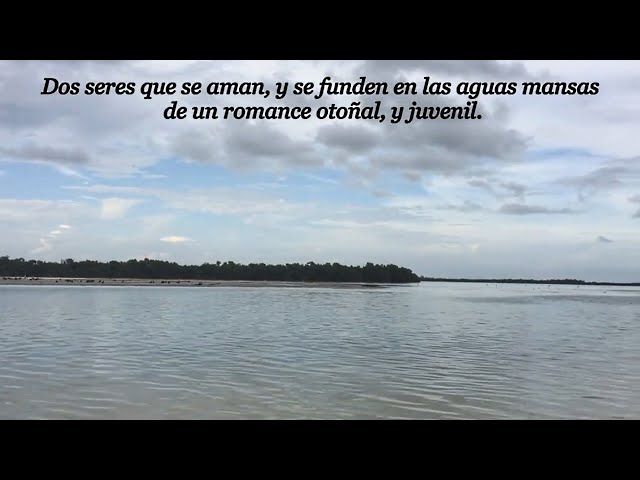 Vídeo relacionado con AUSENCIAS: POEMAS Y CARTAS DE AMOR