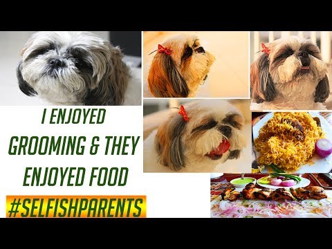 And then a saturday vlog | pet grooming | kolkata biriyani | MommyNFlurry Tale