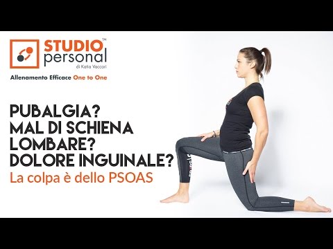 Crunch nelle articolazioni del cane Ginocchio fermo giunto