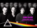 Pink Floyd - Comfortably Numb (Blake Jarrell vs ...