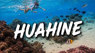 Povandeninis rojus Huahine saloje | PRANCŪZIJOS POLINEZIJA (140)