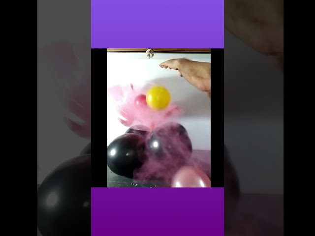 Vídeo relacionado con 30 Piezas Globos Rojos y Negros, 12 Pulgadas Negros y Rojos Confeti Globos, Latex Helio Blanco Globos con Cinta para Cumpleaños Boda Niños Baby Shower Fiesta Decoración