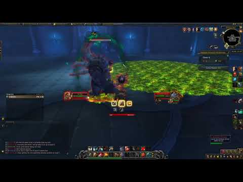 Prot Warrior vs Custodian Thonar (Torghast Layer 6)