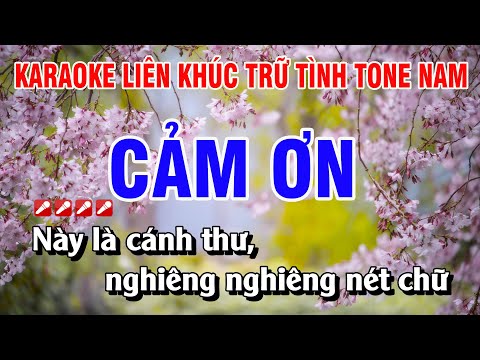 Karaoke Liên Khúc Trữ Tình Tone Nam Nhạc Sống Dễ Hát - Cảm Ơn | Nguyễn Linh