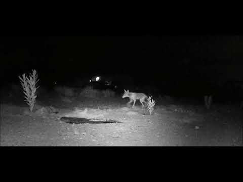 “Saturday, July 3, 2021 – Tracy Mathis”