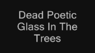 Glass in The Trees with lyrics