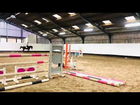 Mare by Conthargos x Carthago x Quick Star - ad ref: 238792