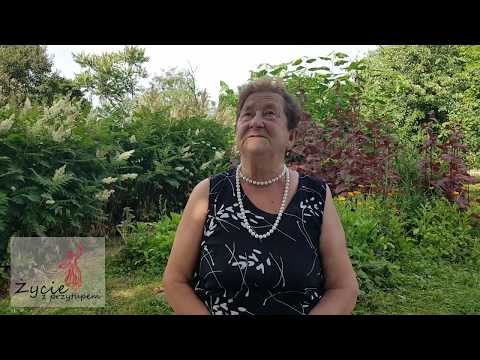 Nad jeziorem siedziała